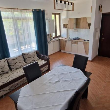 Comanesti  Casa Francesca 아파트 외부 사진