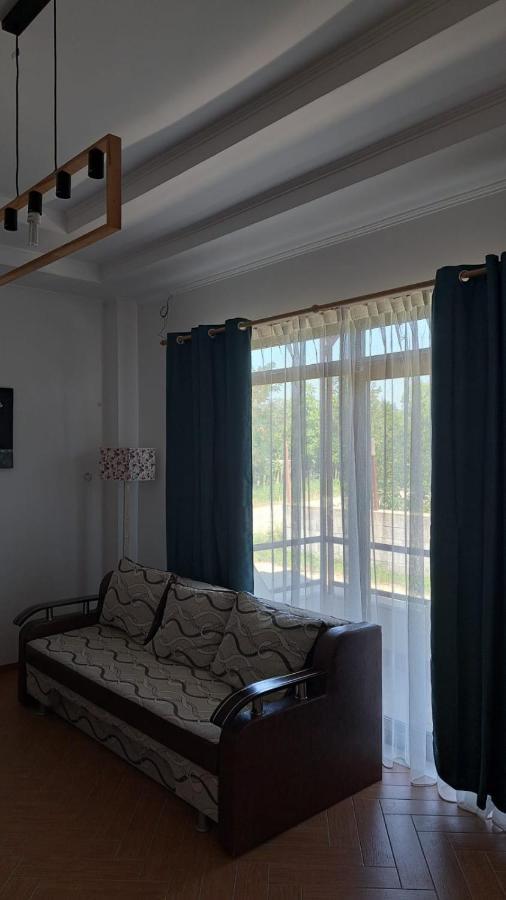 Comanesti  Casa Francesca 아파트 외부 사진