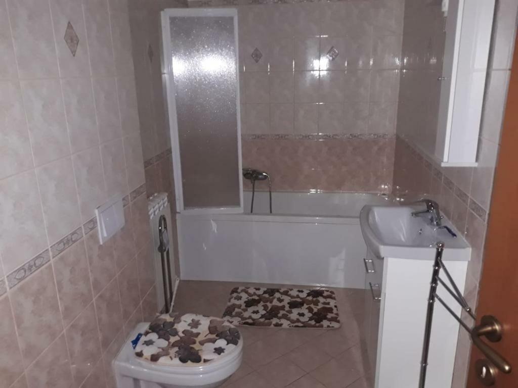 Comanesti  Casa Francesca 아파트 외부 사진